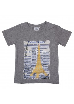 Calvin Klein серая футболка для мальчика 19113