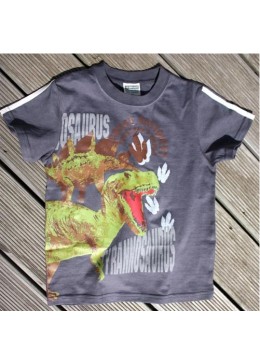 Golden Eagle серая футболка с динозаврами для мальчика 104